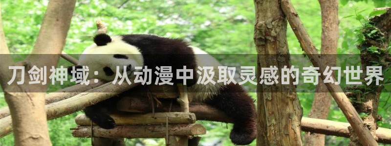 内地动漫天堂：刀剑神域：从动漫中汲取灵感的奇幻世界