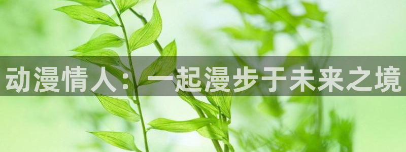 动漫天堂18：动漫情人：一起漫步于未来之境