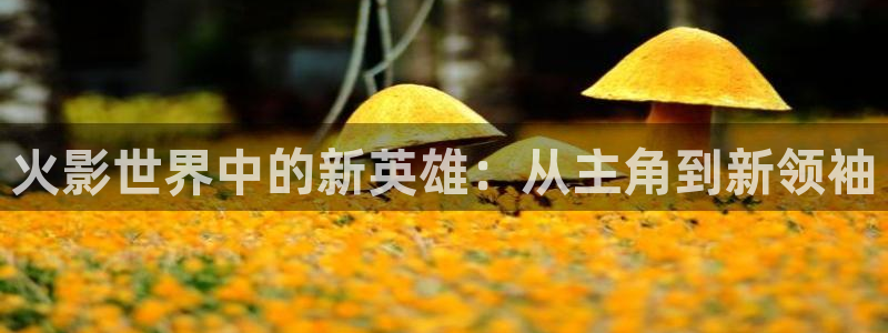 动漫天堂电影：火影世界中的新英雄：从主角到新领袖