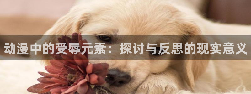 动漫天堂下载安装最新版：动漫中的受辱元素：探讨与反思的现实意义
