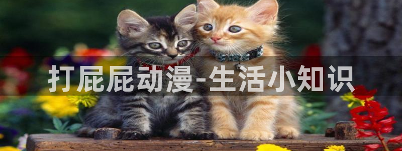 成人动漫天堂av