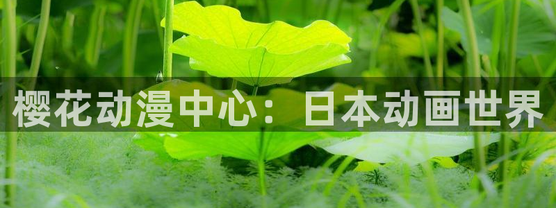 动漫天堂网址：樱花动漫中心：日本动画世界