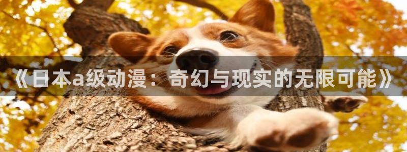 动漫天堂免费：《日本a级动漫：奇幻与现实的无限可能》