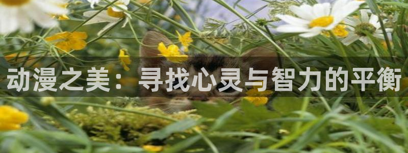 动漫天堂免费观看：动漫之美：寻找心灵与智力的平衡