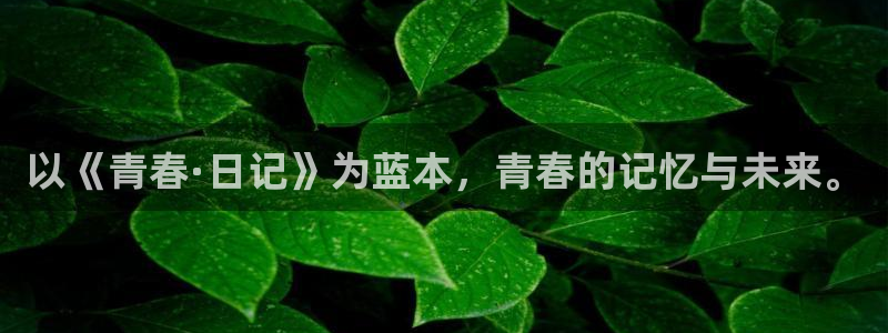 亚洲成人动漫天堂：以《青春·日记》为蓝本，青春的记忆与未来。