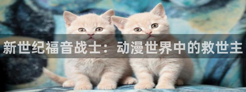 动漫天堂下载安装最新版：新世纪福音战士：动漫世界中的救世主