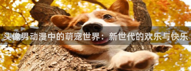 动漫天堂总站：头像男动漫中的萌宠世界：新世代的欢乐与快乐