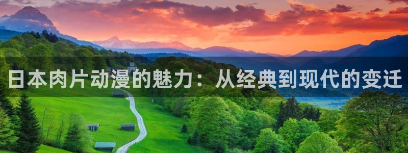 秋叶原动漫天堂：日本肉片动漫的魅力：从经典到现代的变迁