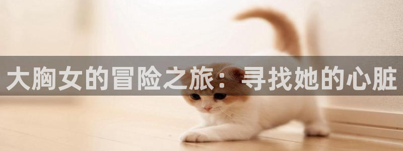 动漫天堂cc：大胸女的冒险之旅：寻找她的心脏
