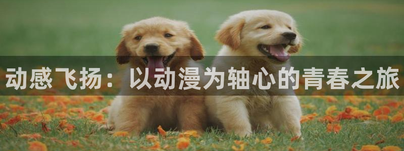 18动漫天堂：动感飞扬：以动漫为轴心的青春之旅