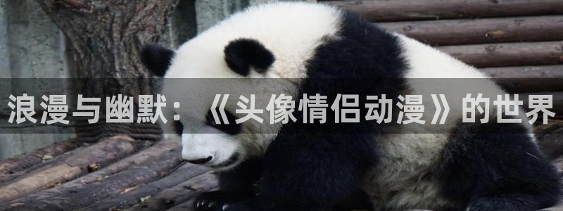 动漫天堂下载：浪漫与幽默：《头像情侣动漫》的世界