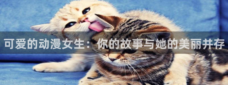 动漫天堂在线观看：可爱的动漫女生：你的故事与她的美丽并存