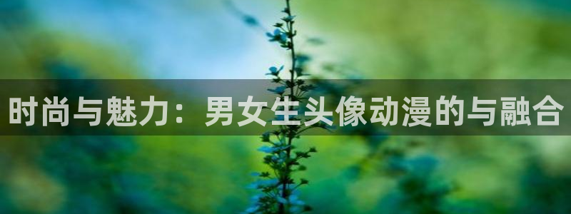 内地动漫天堂：时尚与魅力：男女生头像动漫的与融合